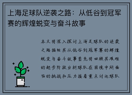 上海足球队逆袭之路：从低谷到冠军赛的辉煌蜕变与奋斗故事